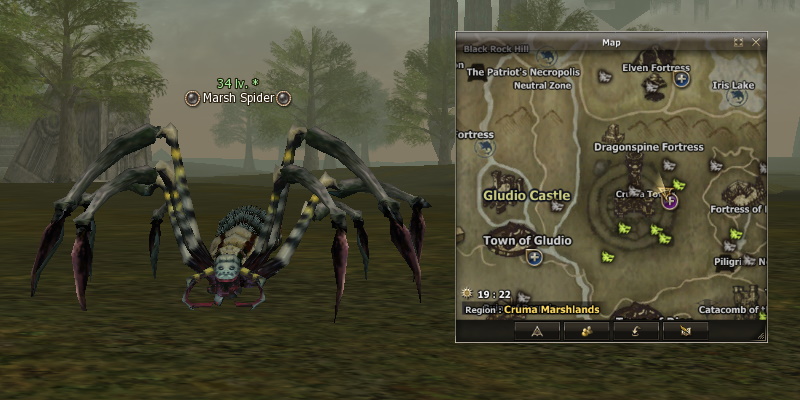 Marsh Spider mw