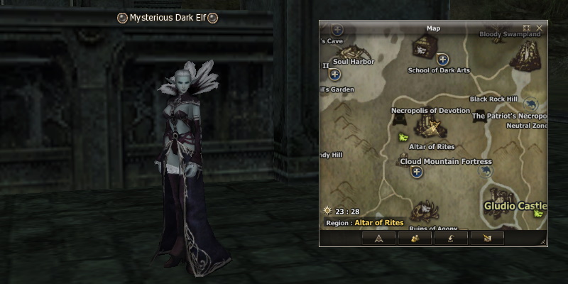 Mysterious Dark Elf mw