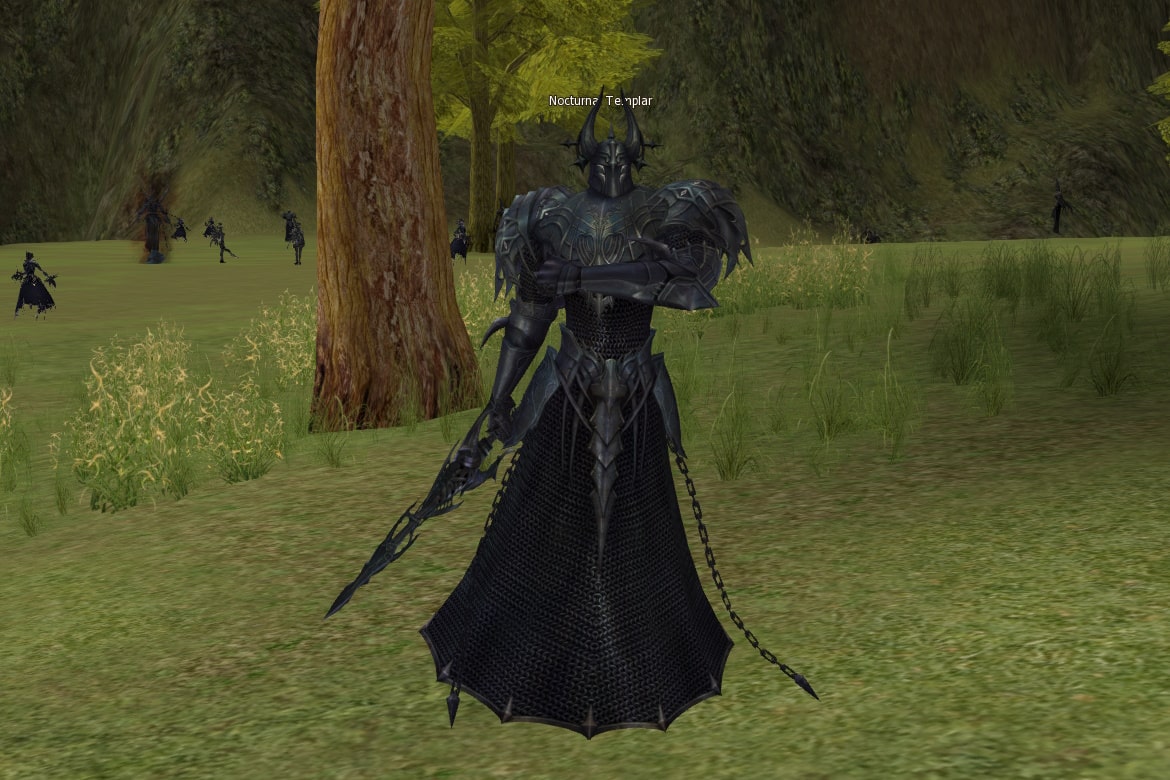 Nocturnal Templar mw