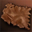 Awakened Mucrokian Hide