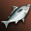 Big White Nimble Fish