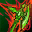 icon lu4