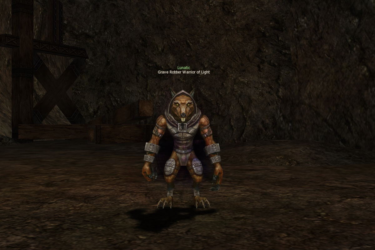 Grave Robber Warrior of Light mw